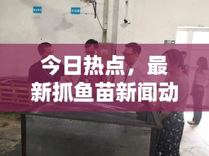 今日热点，最新抓鱼苗新闻动态速递