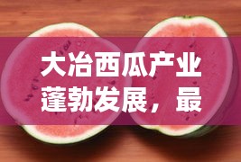 大冶西瓜产业蓬勃发展，最新头条新闻