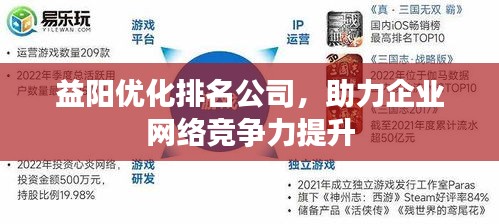 益阳优化排名公司，助力企业网络竞争力提升