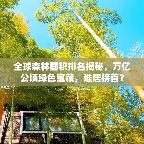 全球森林面积排名揭秘，万亿公顷绿色宝藏，谁居榜首？