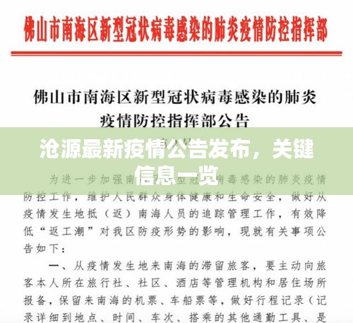 沧源最新疫情公告发布，关键信息一览