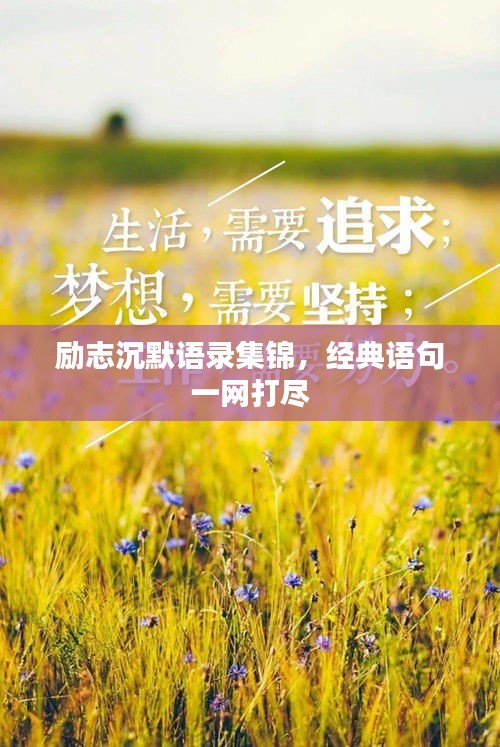 励志沉默语录集锦，经典语句一网打尽