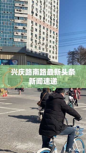 兴庆路南路最新头条新闻速递