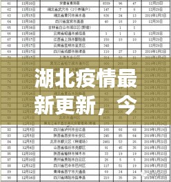 湖北疫情最新更新，今日关键信息汇总