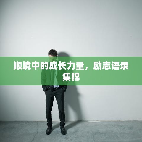 顺境中的成长力量，励志语录集锦