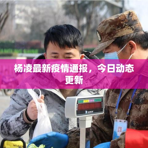 杨凌最新疫情通报，今日动态更新