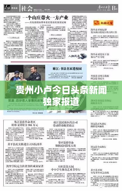 贵州小卢今日头条新闻独家报道