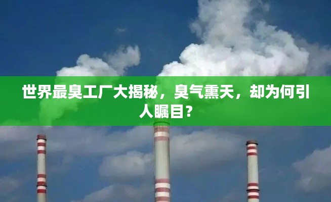 世界最臭工厂大揭秘，臭气熏天，却为何引人瞩目？