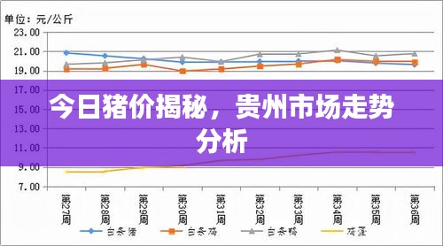 今日猪价揭秘，贵州市场走势分析
