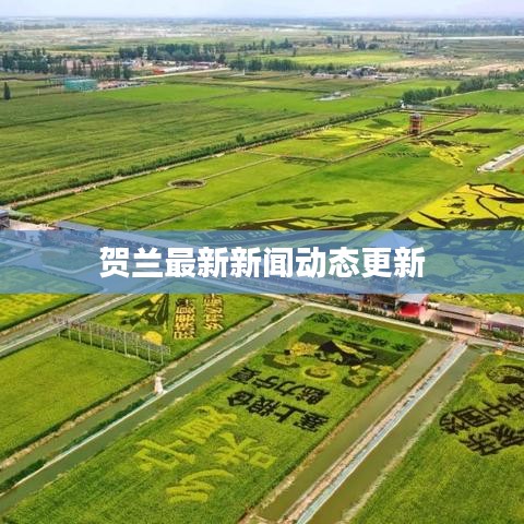 贺兰最新新闻动态更新