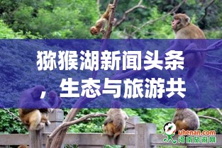 猕猴湖新闻头条，生态与旅游共舞，和谐共生展新篇