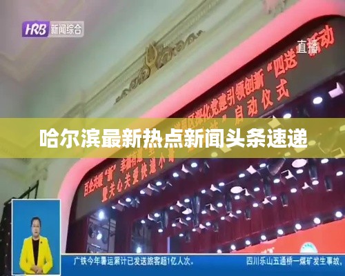 哈尔滨最新热点新闻头条速递