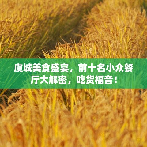 虞城美食盛宴，前十名小众餐厅大解密，吃货福音！