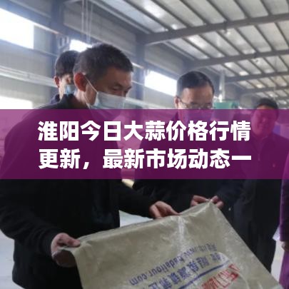 淮阳今日大蒜价格行情更新，最新市场动态一网打尽！