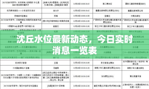沈丘水位最新动态，今日实时消息一览表