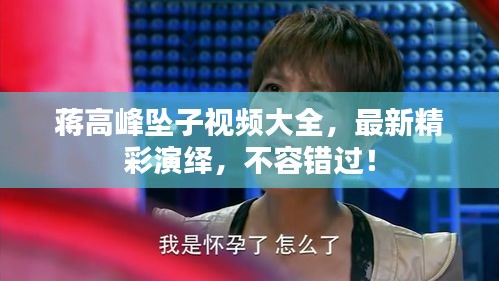 蒋高峰坠子视频大全，最新精彩演绎，不容错过！
