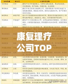 康复理疗公司TOP10深度解析，排名背后的成功秘诀！