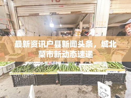 最新资讯户县新闻头条，城北菜市新动态速递