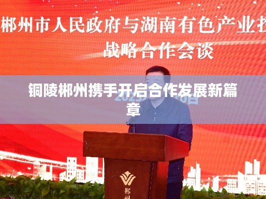 铜陵郴州携手开启合作发展新篇章