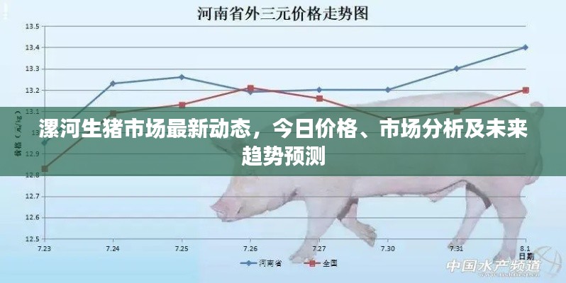 漯河生猪市场最新动态，今日价格、市场分析及未来趋势预测
