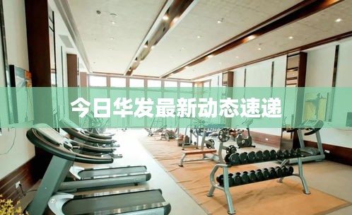 今日华发最新动态速递