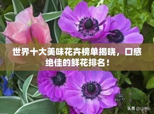 世界十大美味花卉榜单揭晓，口感绝佳的鲜花排名！