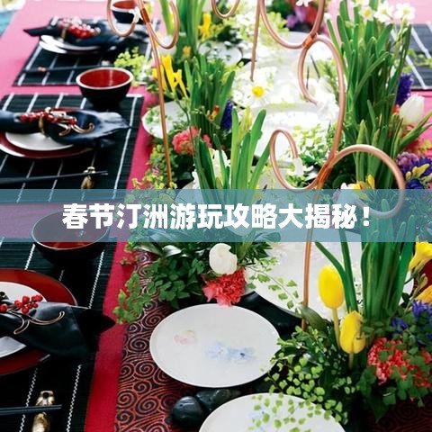 春节汀洲游玩攻略大揭秘！