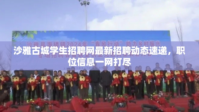 沙雅古城学生招聘网最新招聘动态速递，职位信息一网打尽