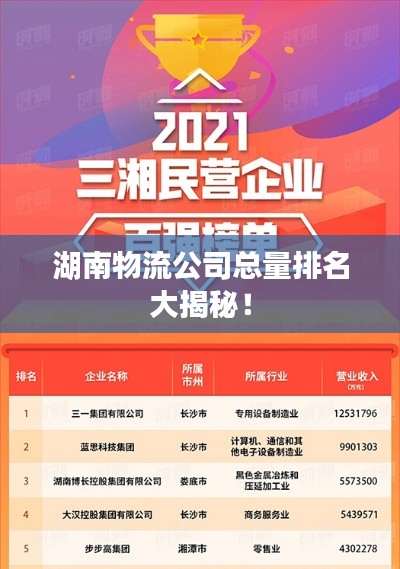 湖南物流公司总量排名大揭秘！