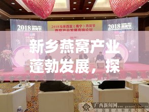 新乡燕窝产业蓬勃发展，探寻最新发展动态与新闻头条