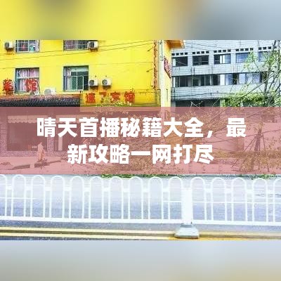 晴天首播秘籍大全，最新攻略一网打尽