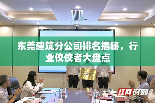 东莞建筑分公司排名揭秘，行业佼佼者大盘点