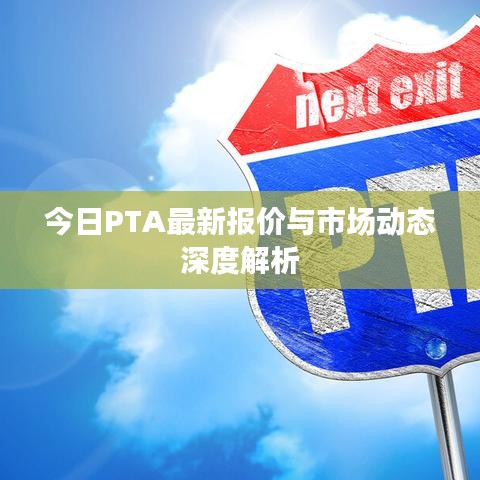 今日PTA最新报价与市场动态深度解析