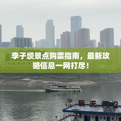 李子坝景点购票指南，最新攻略信息一网打尽！