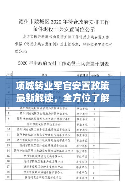 项城转业军官安置政策最新解读，全方位了解最新动态