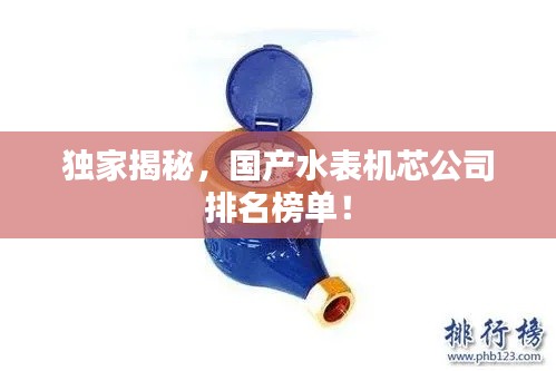 独家揭秘，国产水表机芯公司排名榜单！
