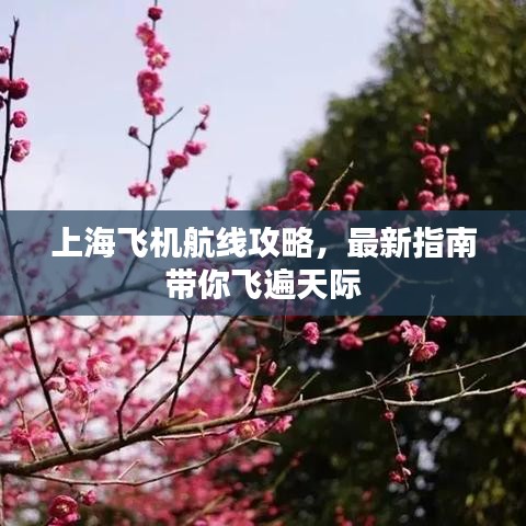 上海飞机航线攻略，最新指南带你飞遍天际