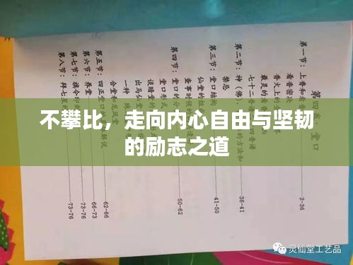 不攀比，走向内心自由与坚韧的励志之道