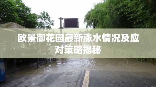 欧景御花园最新涨水情况及应对策略揭秘