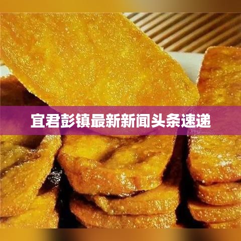 宜君彭镇最新新闻头条速递