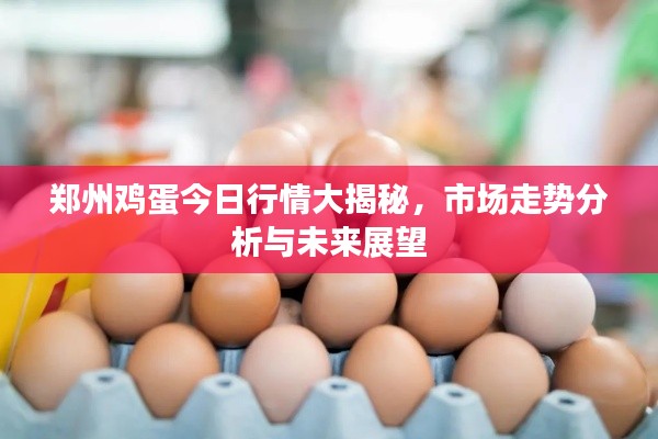 郑州鸡蛋今日行情大揭秘，市场走势分析与未来展望