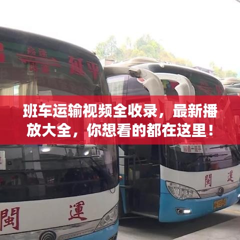 班车运输视频全收录，最新播放大全，你想看的都在这里！