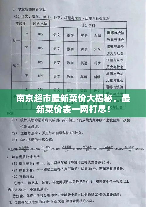 南京超市最新菜价大揭秘，最新菜价表一网打尽！