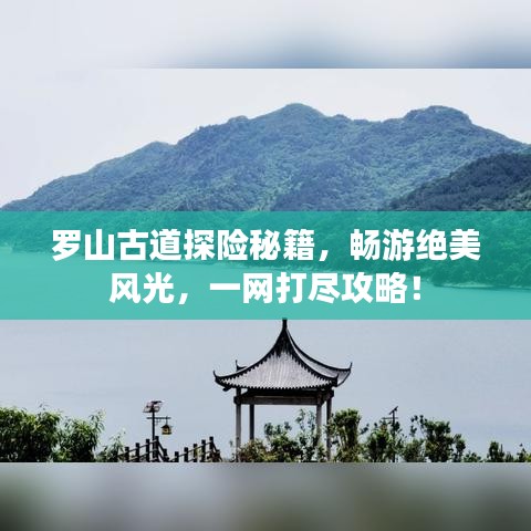 避难就易