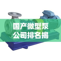 国产微型泵公司排名揭晓，行业影响力不容小觑！