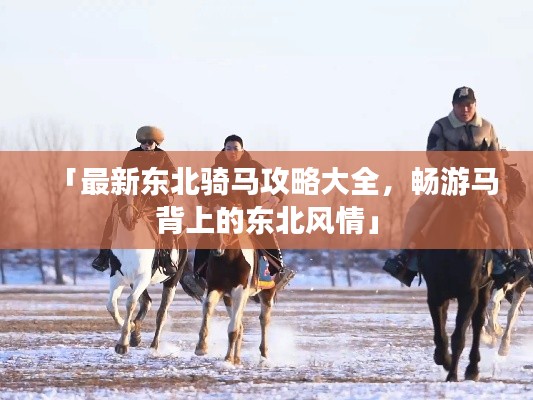「最新东北骑马攻略大全，畅游马背上的东北风情」