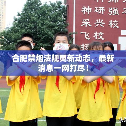 合肥禁烟法规更新动态，最新消息一网打尽！