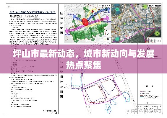 坪山市最新动态，城市新动向与发展热点聚焦