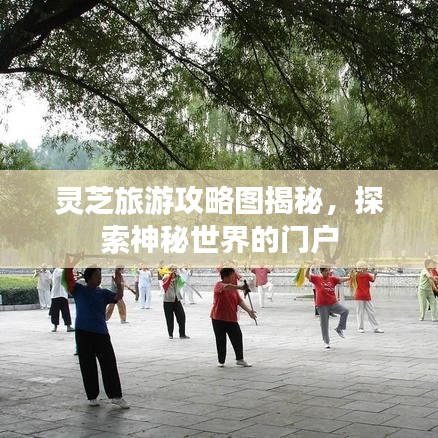 灵芝旅游攻略图揭秘，探索神秘世界的门户