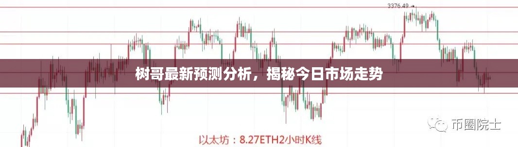 树哥最新预测分析，揭秘今日市场走势